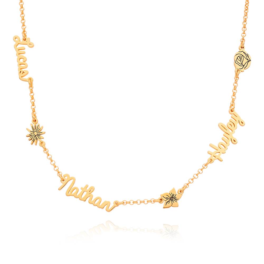 Blooming Birth Flower Multi Name Necklace in 18K Gold Vermeil-1 product photo