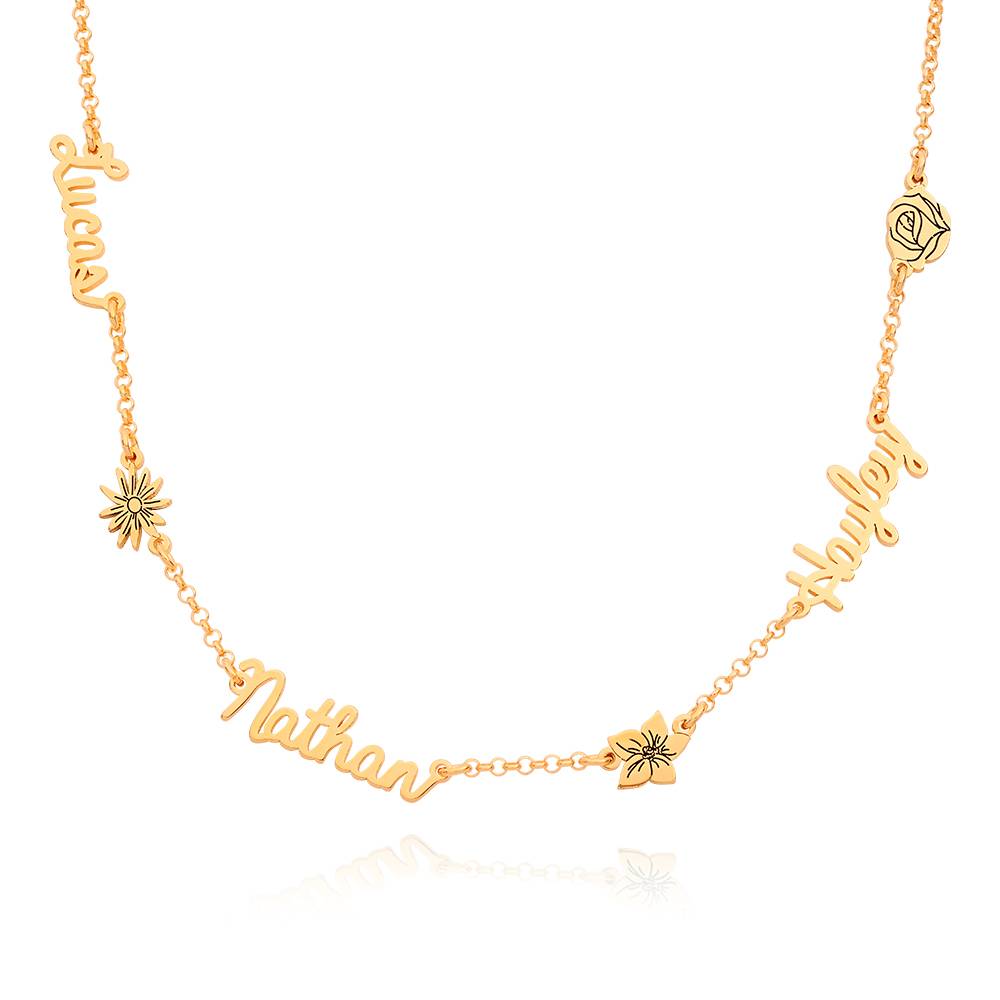 Blooming Birth Flower Multi Name Necklace in 18K Gold Vermeil-5 product photo