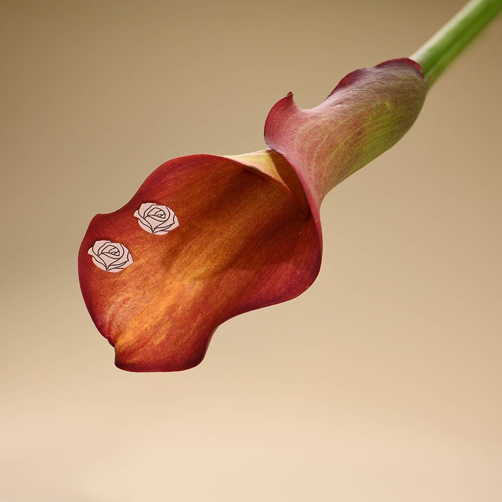 Blooming Birth Flower Stud Earrings in 18K Rose Gold Plating-3 product photo
