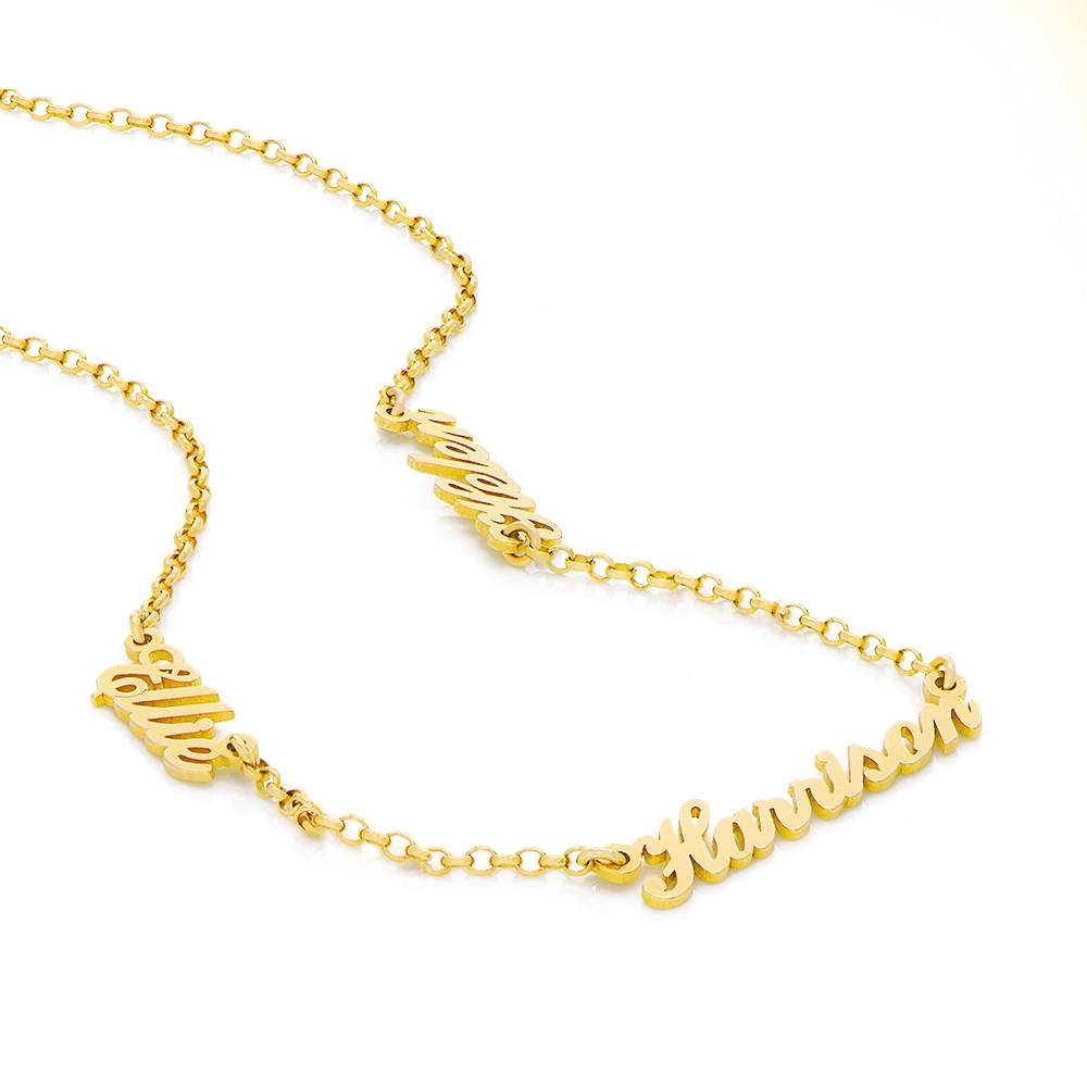 Heritage Multiple Name  Necklace in 18k Gold Vermeil-4 product photo