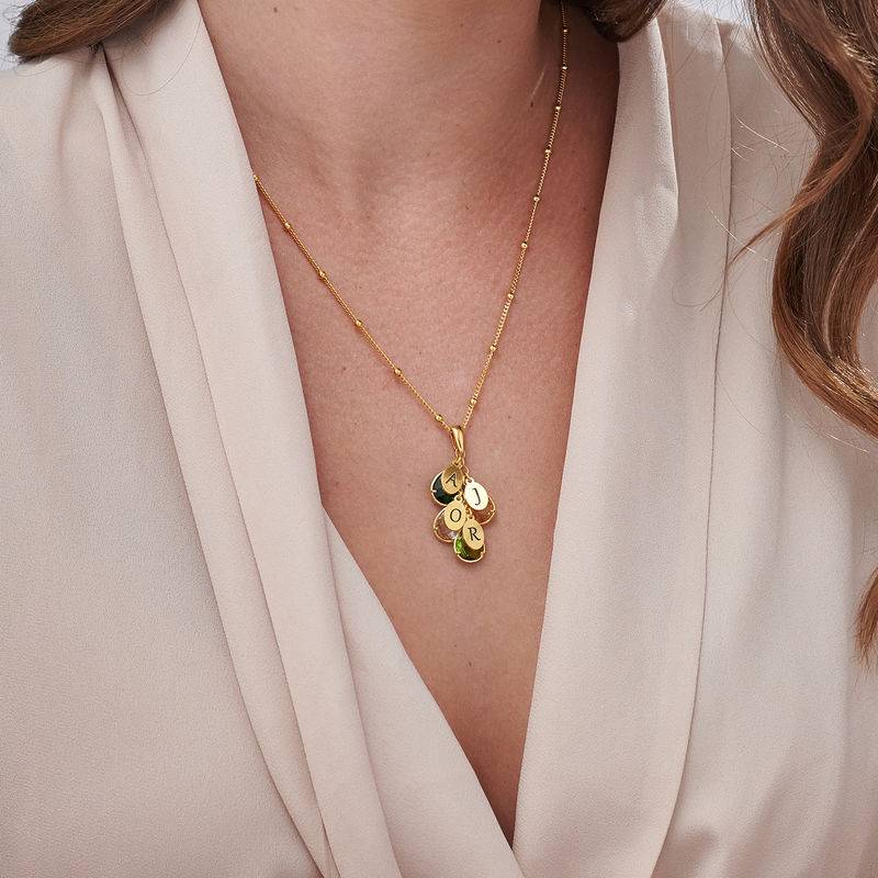Custom Birthstone Drop Necklace for Mom in 18k Gold Vermeil product photo