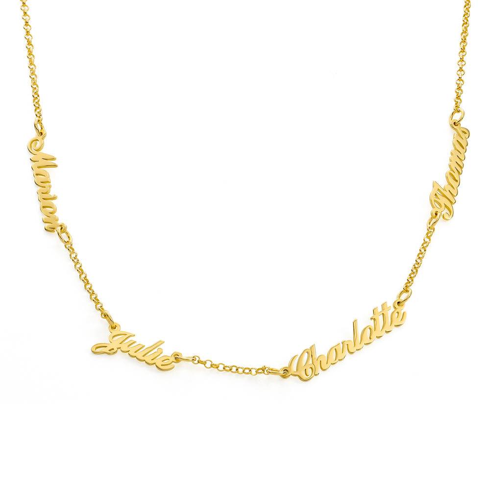 Heritage Multiple Name  Necklace in 18k Gold Vermeil-1 product photo