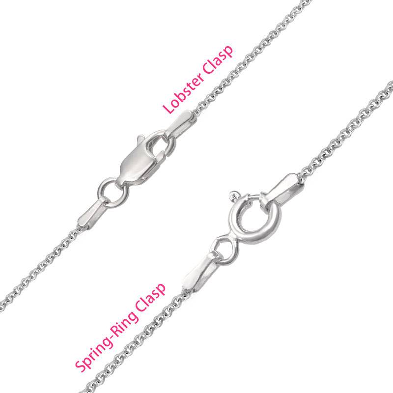 Personalized Silver Horseshoe Necklace-3 product photo